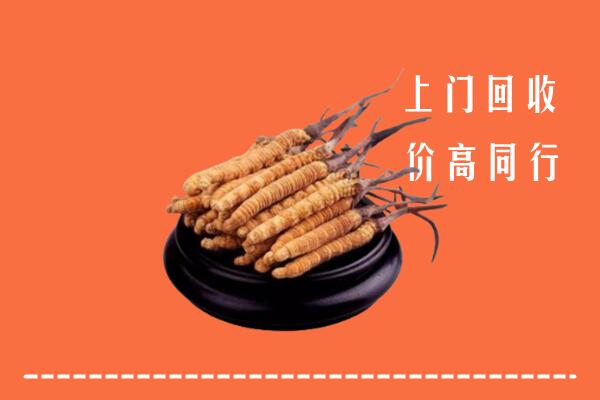 高价求购：富阳区回收散虫草