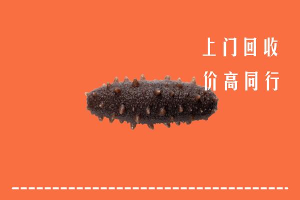 高价求购：富阳区回收海参