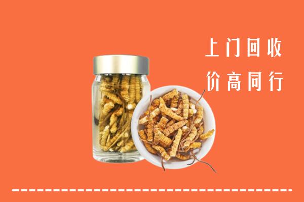富阳区回收冬虫夏草