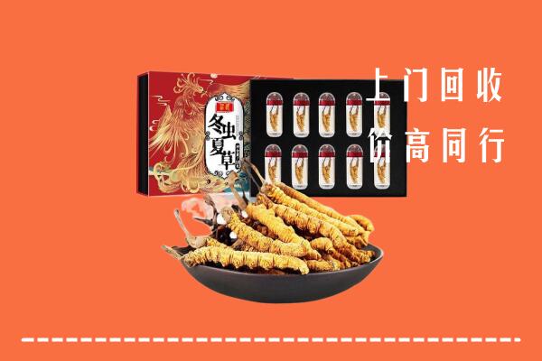 富阳区回收虫草